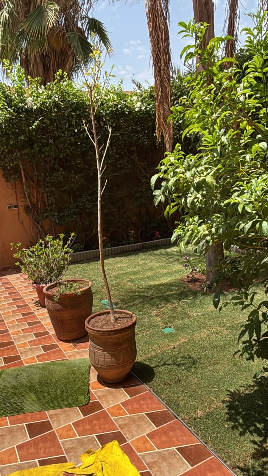 Photo 22